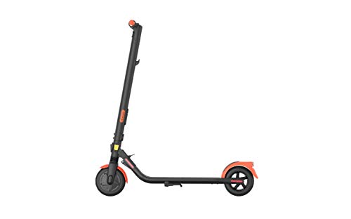 Segway-Ninebot ES1LD, E Scooter mit Straßenzulassung für Erwachsene, max. 20 km/h Geschwindigkeit, 20...