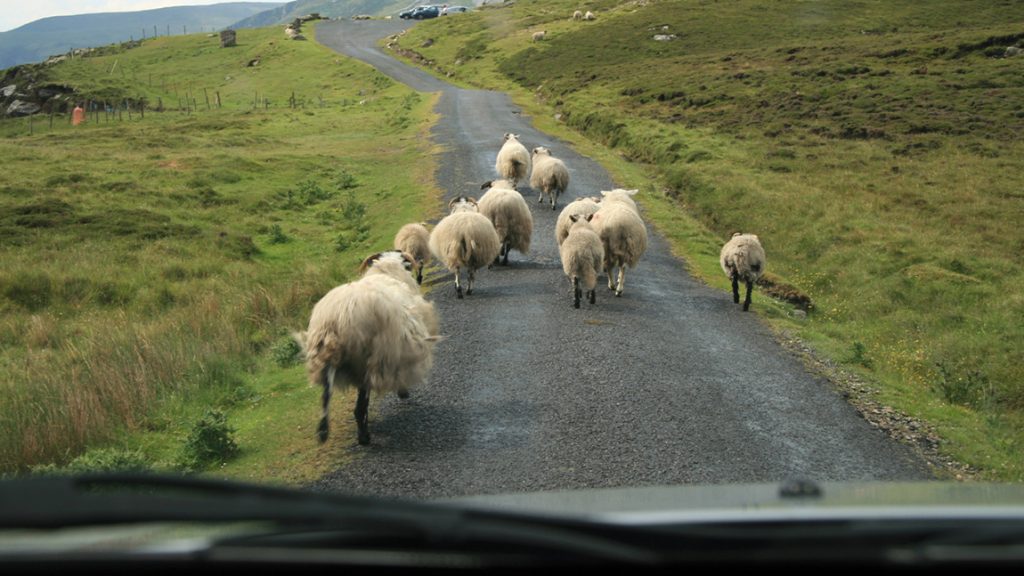 Gesellschaft beim Autofahren in Irland