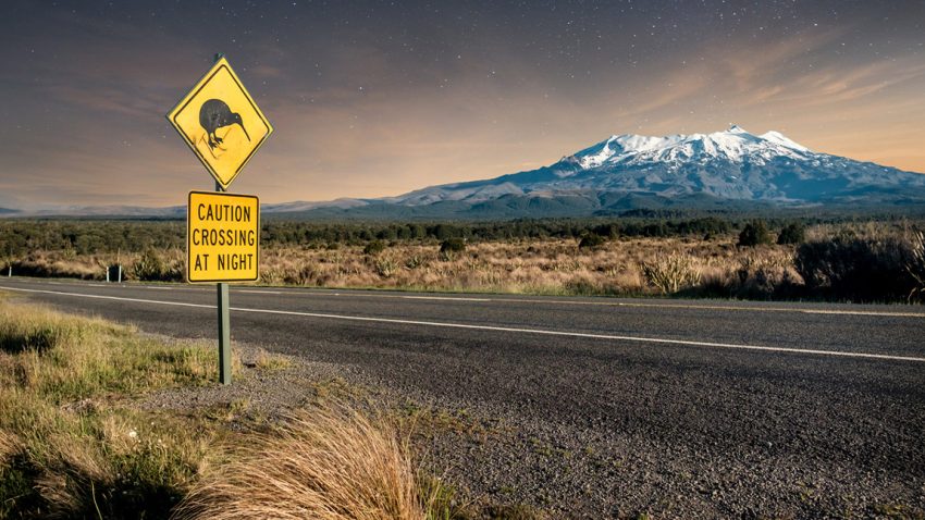 Autofahren in Neuseeland: Das ist zu beachten