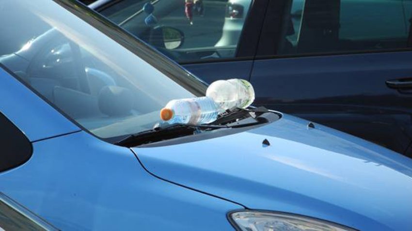 Wasserflaschen liegen auf der Windschutzscheibe eines Autos und sollen so als Marderschreck dienen.