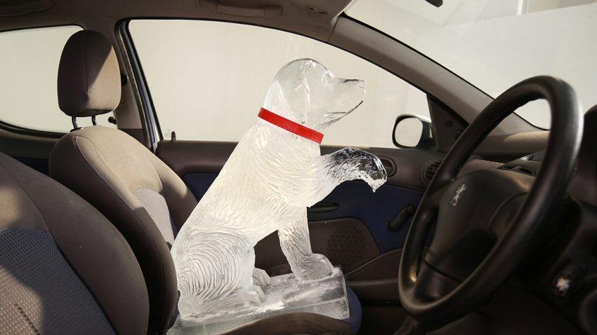 Hitze im Auto: Wann darf man die Fensterscheibe einschlagen?