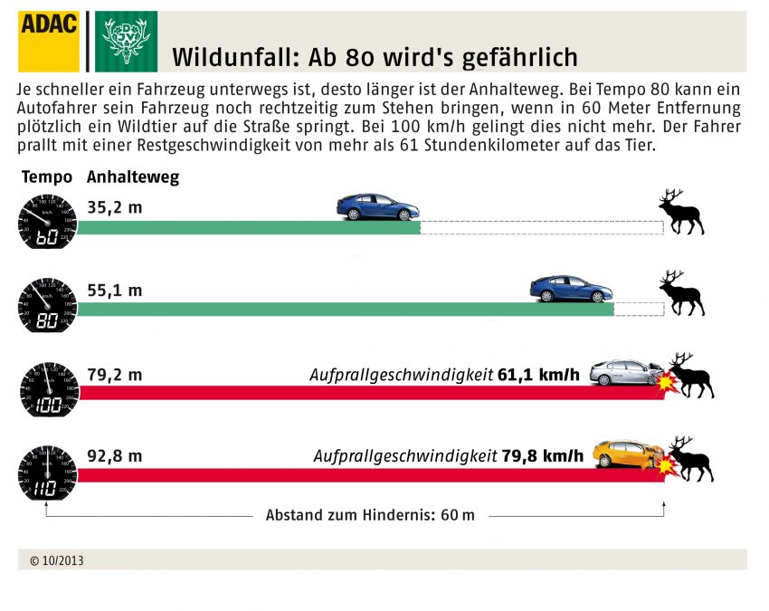 Grafik zum Thema Anhalteweg beim Wildunfall.