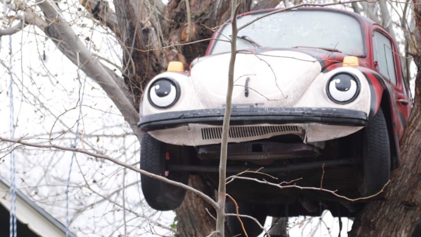 Wie kam dieser VW Käfer in den Baum einer älteren Dame - und warum muss er wieder verschwinden?