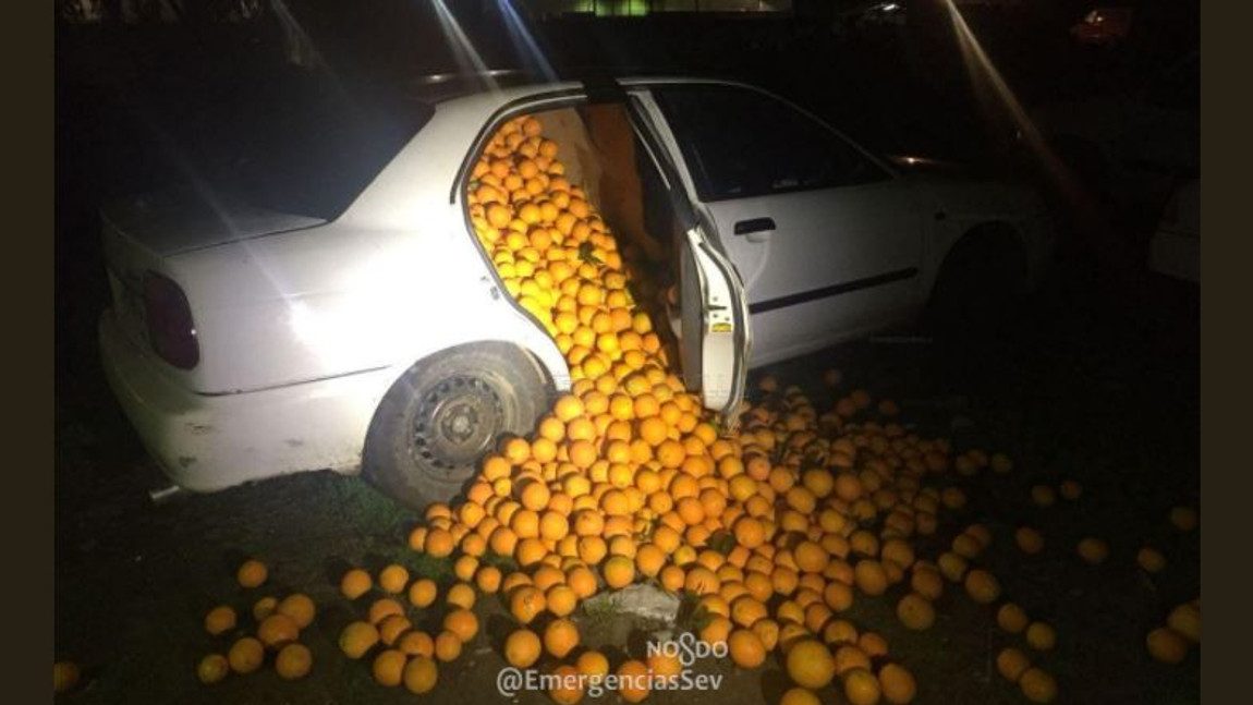 Wie viele Orangen passen in ein Auto?