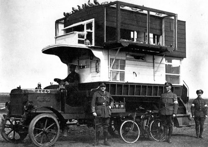 Ein Brieftaubenbus, in welchem Brieftauben im ersten Weltkrieg mobil unterwegs waren.