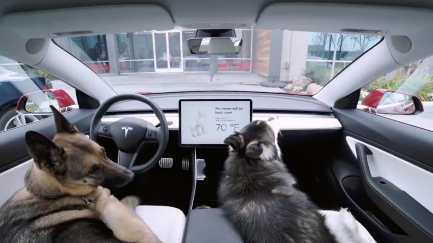 Tesla führt "Hundemodus" ein