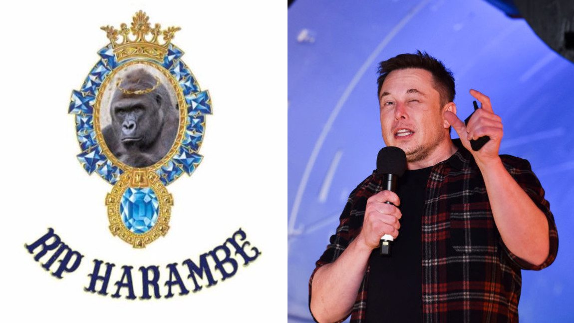 Tesla-Chef Elon Musk veröffentlicht Rap-Song über erschossenen Gorilla Harambe