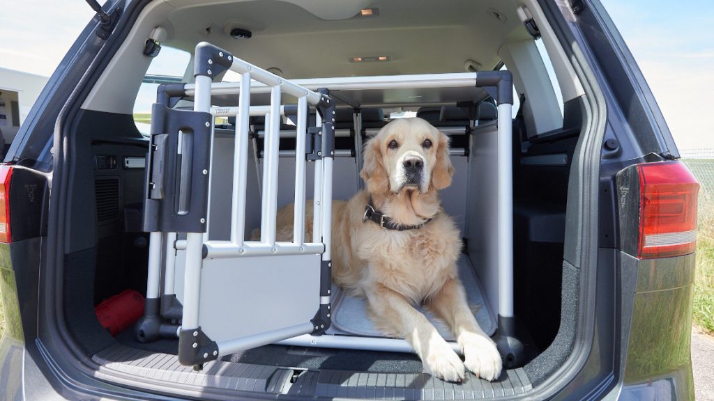 Ein Hund in einer Hundebox fürs Auto, welche im Kofferraum steht.