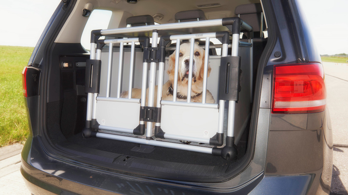 Ein Hund sitzt in einer Hundebox im Kofferraum eines Autos.