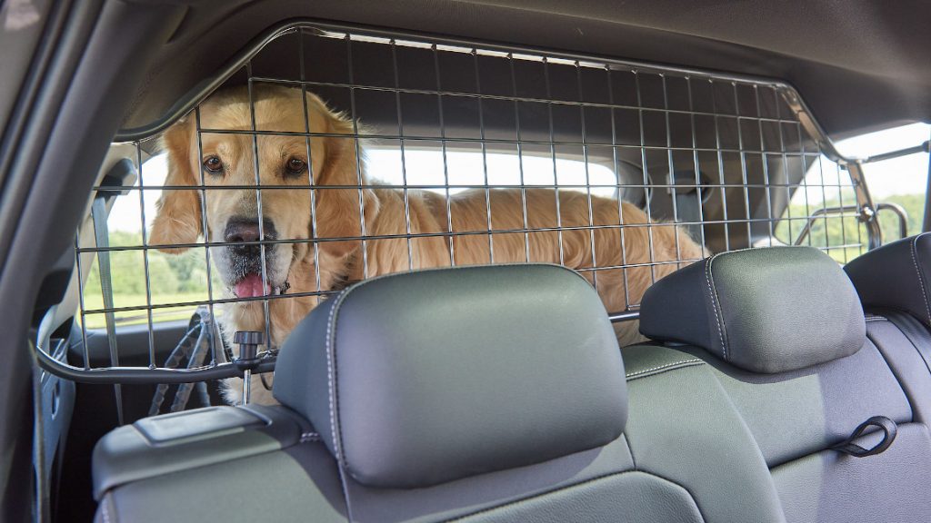 Autonetz Schutznetz für Hunde 1312 von TRIXIE günstig bestellen