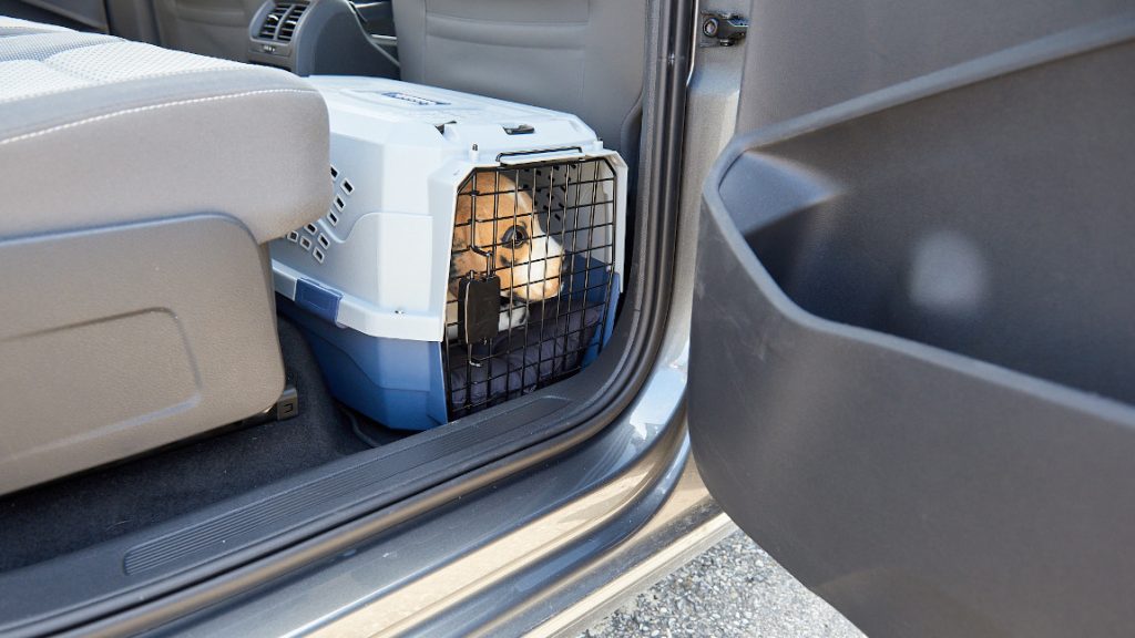 Ein Hund in einer Hundebox im Fußraum eines Autos.